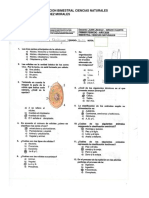 SOLUCION BIMESTRAL CIENCIAS NATURALES.pdf