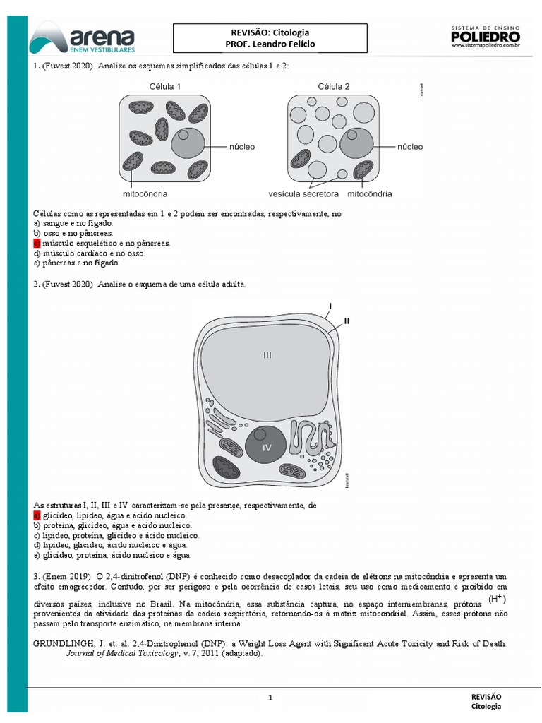 Revisão de questões sobre citologia celular e processos biológicos ...