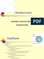 14 - Herpesviridae 19.05.2020