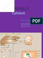 Cell Bio Lect 1 Mineral Calcium