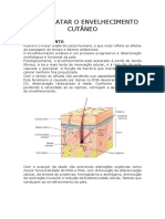 Aula Anexos Da Pele 2