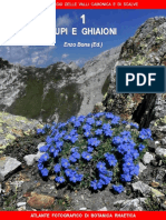1 Floradellerupiedeighiaioni PDF