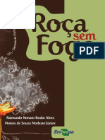 12 cartilha Rocasemfogo.pdf