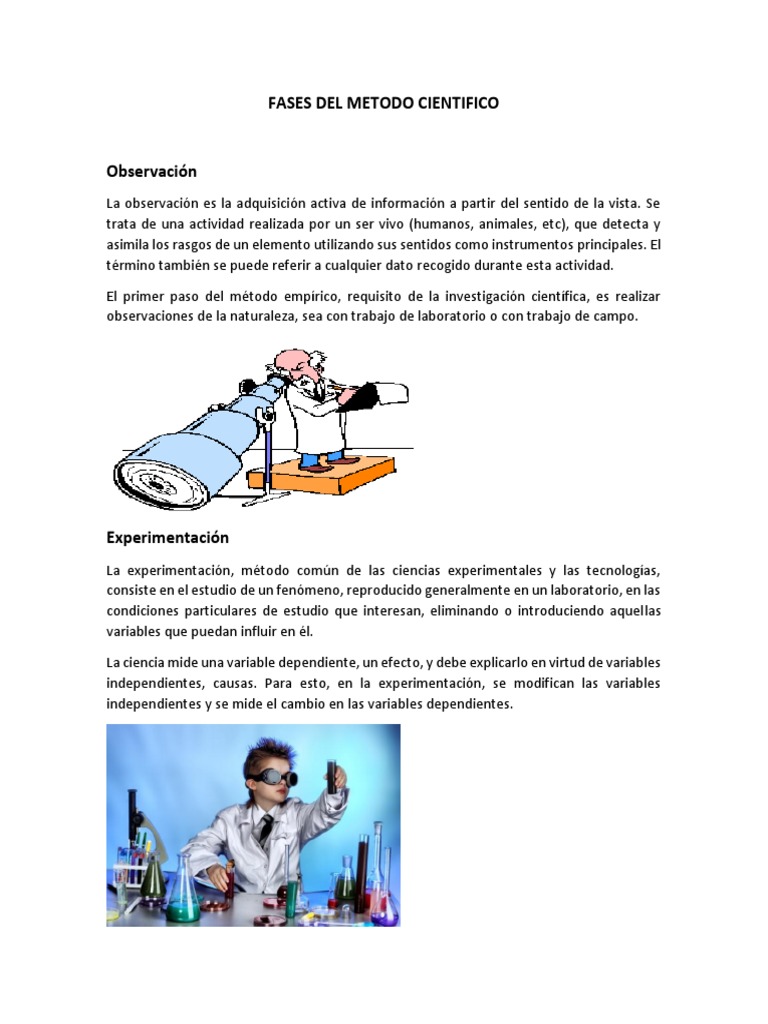 Fases del Método Científico | PDF | Ciencia y matemáticas