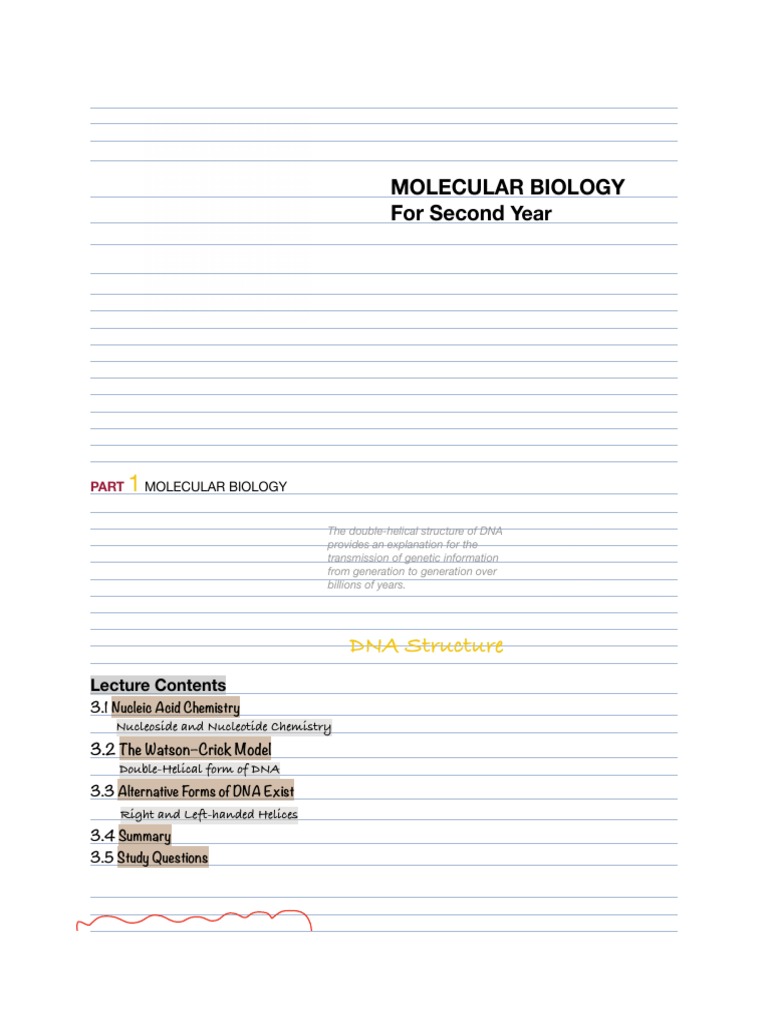 Lecture 3 - DNA Structure PDF | PDF | Nucleic Acids | Dna
