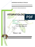 Mapa e Infografia Fitopatologia-Yamir