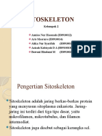 SITOSKELETON