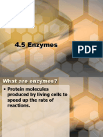 4.5 Enzymes