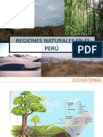 clase 10 regiones naturalesPowerPoint