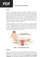 Download PENYAKIT RADANG PANGGUL by Irfa Kartini SN47219667 doc pdf