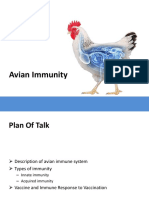 Avian Immunity