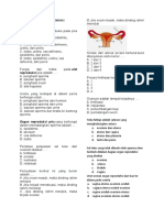 Latihan Soal Organ Reproduksi Manusia