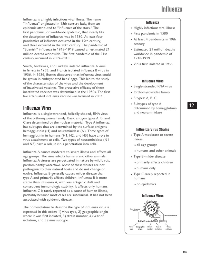 Influenza Virus | PDF | Influenza Pandemic | Influenza