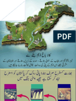 کالا باغ ڈیم.pdf