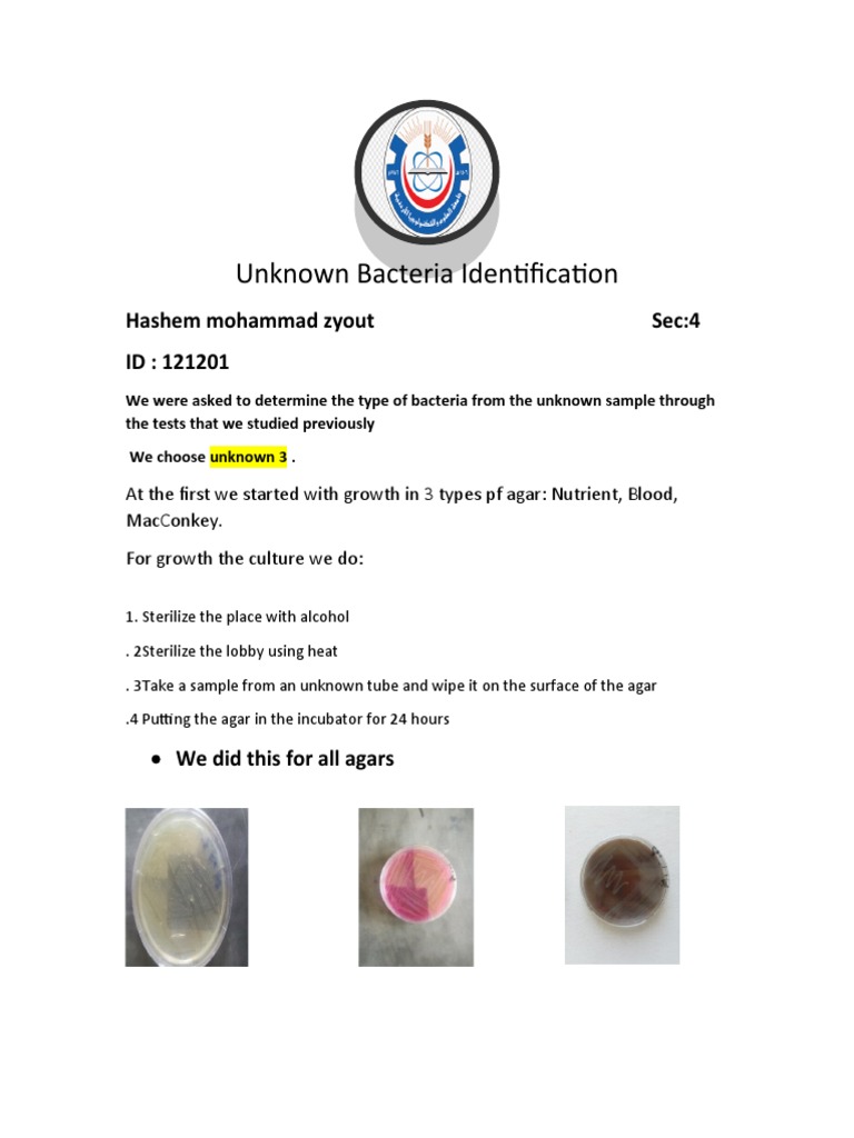 Unknown Bacteria Identification | PDF | Staining | Bacteria