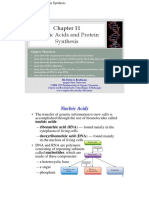 Nucleic Acids.pdf