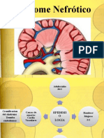 Sindromenefrotico