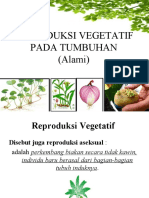 Reproduksi Vegetatif Alami