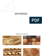 SOFTWOOD.pptx