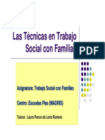 Capitulo de Tecnicas TS Con Familias PDF