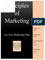 Marketing Plan Final Report