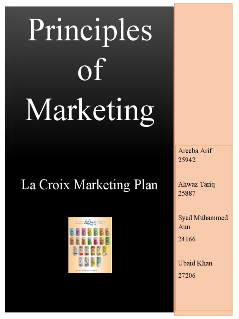 Marketing Plan Final Report Pdf Retail Advertising