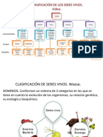 CLASIFicacion de los SERES VIVOS 