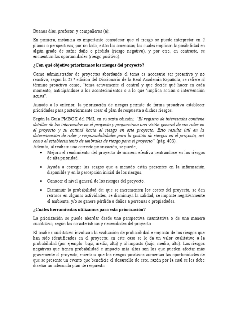 Análisis y Priorización de Riesgos en Proyectos | PDF | Probabilidad ...