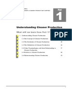 cleanerproduction case studies.pdf