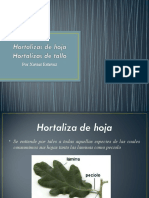 Hortalizas de Hoja y Brotes