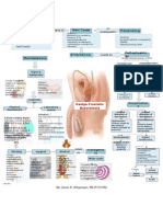 Benign Prostatic Hyperplasia Concept Map