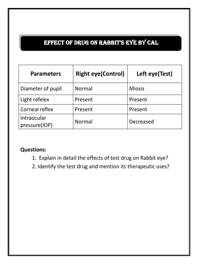 Rabbit Eye Drug Effects Analysis | PDF | Wellness