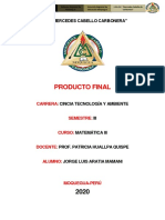 PRODUCTO FINAL MATEMATICA.pdf
