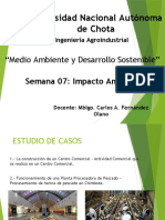 Semana 7 - Impacto Ambiental - Ing. Agroindustrial