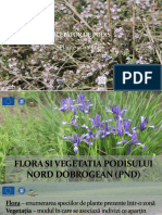 SMIS116964_Cercetatori de Podis _plante si habitate
