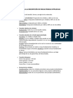 Pauta Gneas Intrusivas PDF