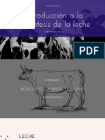 Biosíntesis de La Leche