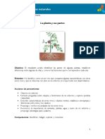 3°-La-planta-y-sus-partes.pdf