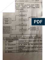 Mapa Conceptual Ecosistema