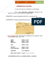 12 04 Subordinadas Causales PDF