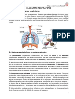 Unidad 2.2 Aparato Respiratorio