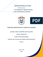 Procesos Cognitivos PDF