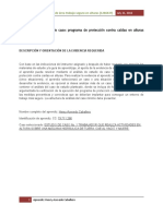 Evidencia  3 - Estudio de caso programa de proteccion contra caidas