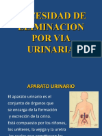 CLASE-11-NECESIDAD-DE-ELIMINACION-POR-VIA-URINARIA (1) Enfermeria Basic