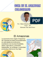 La Economia del Amazonas..2.ppt