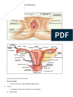 Assessment of Female Genitalia 1
