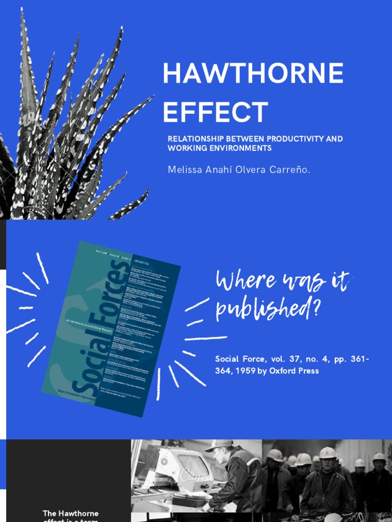 Hawthorne Effect