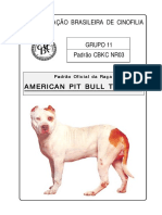 Padrão da Raça Pit Bull