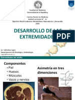 Desarrollo de Las Extremidades PDF