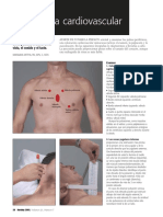 Valorar El Sistema Cardiovascular